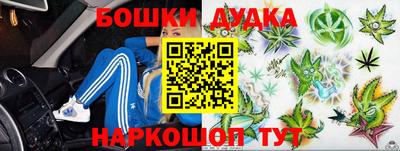 a pvp Новозыбков