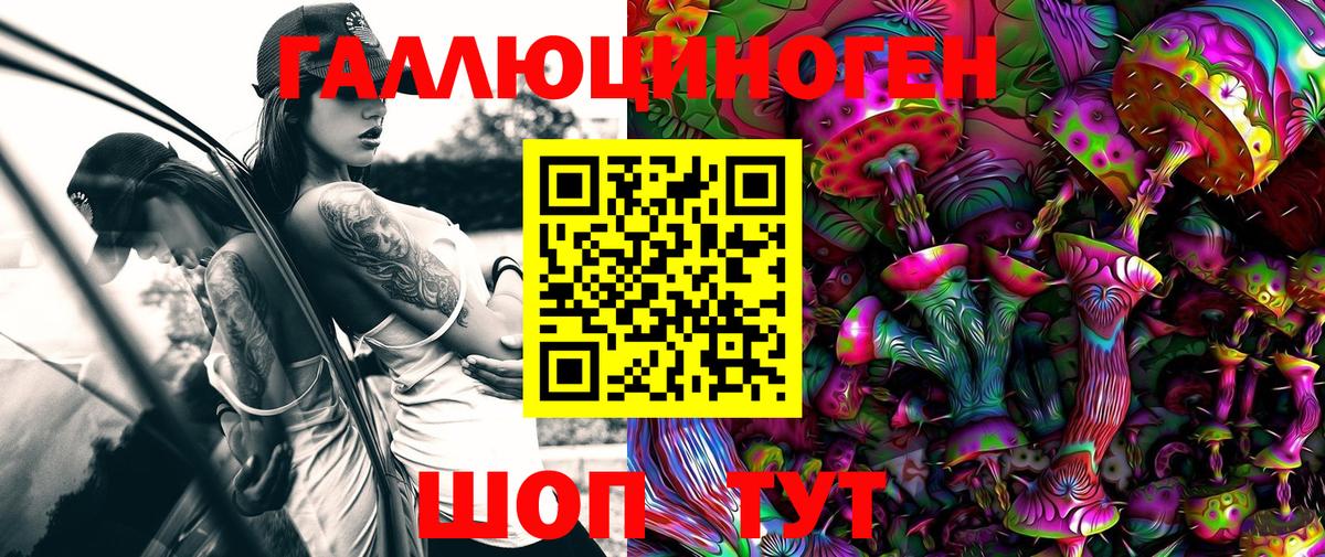 Фурманов  Галлюциногенные грибы Psilocybine cubensis  Вход с VPN 